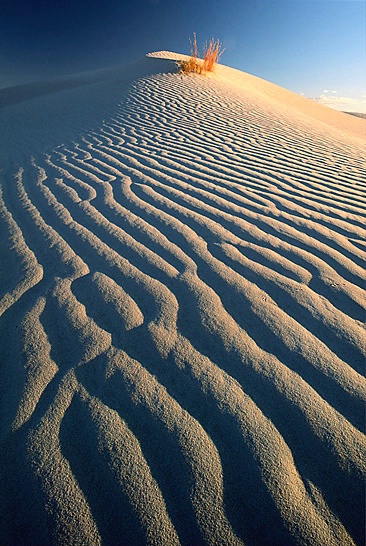 Photography Contest Grand Prize Winner - Guadalupe Dunes