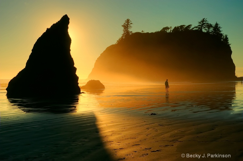 Photography Contest Grand Prize Winner - Sunset at Ruby Beach